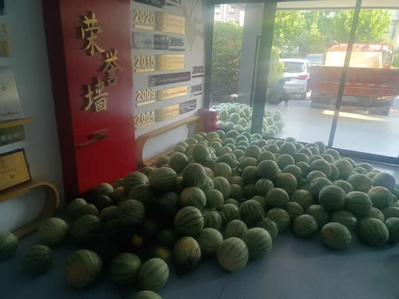 图片15.jpg